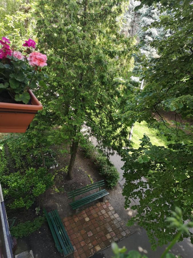 Natasa Apartman Орошгаза Екстер'єр фото