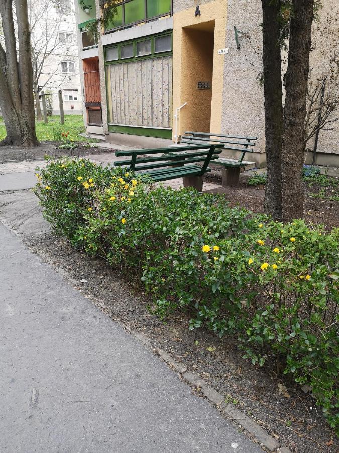 Natasa Apartman Орошгаза Екстер'єр фото