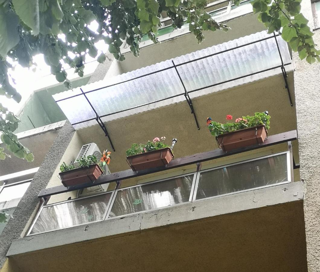 Natasa Apartman Орошгаза Екстер'єр фото